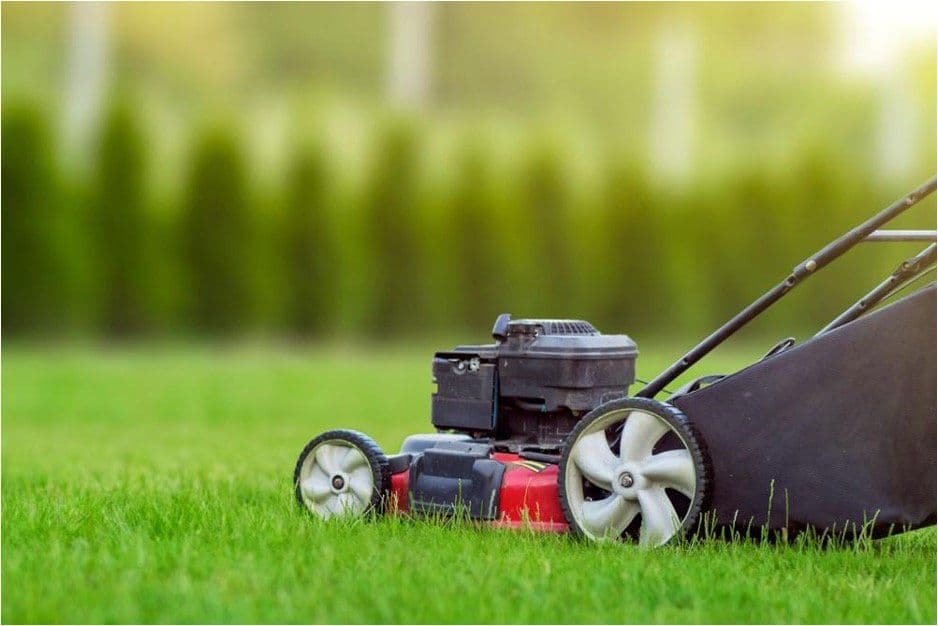 Lawn maintenance service